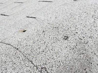 Asphalt Shingle Inspection Rejuvenation Services