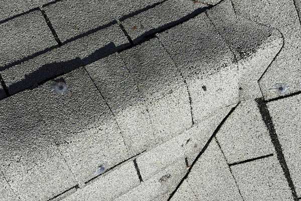 Expert Roof Rejuvenation Services Expert Roof Rejuvenation Services