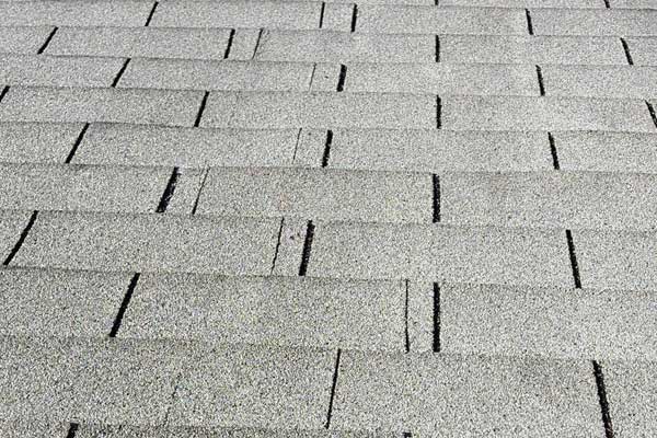Professional Roof Cleaning Services