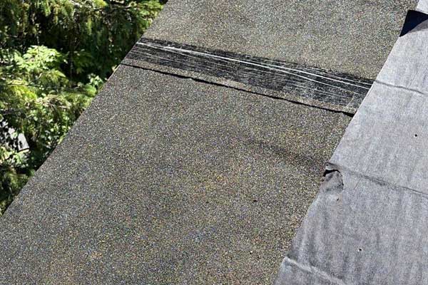 Reliable Roof Maintenance Services Reliable Roof Maintenance Services
